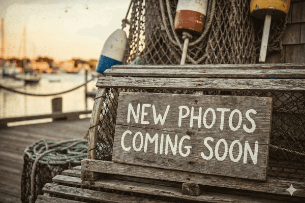 Tipsy Tuesday - Half off bottles of wine at ChowderHeads