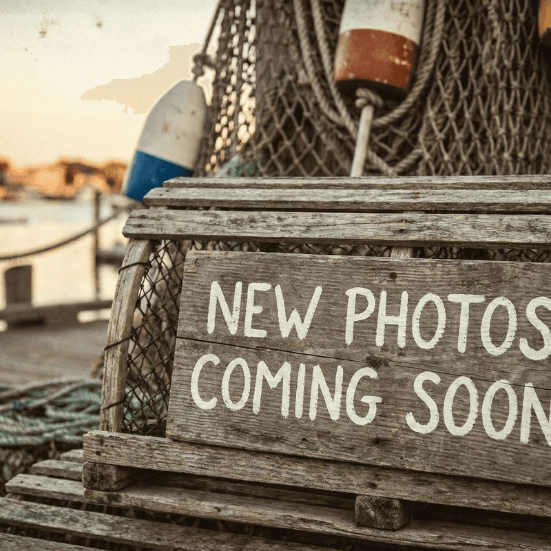 Steamed mussels in white wine butter sauce with garlic bread - Chowder Heads Jupiter FL